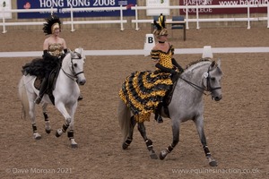 Lusitano Breed Society of Great Britain Show - Hartpury College - 27th June 2009